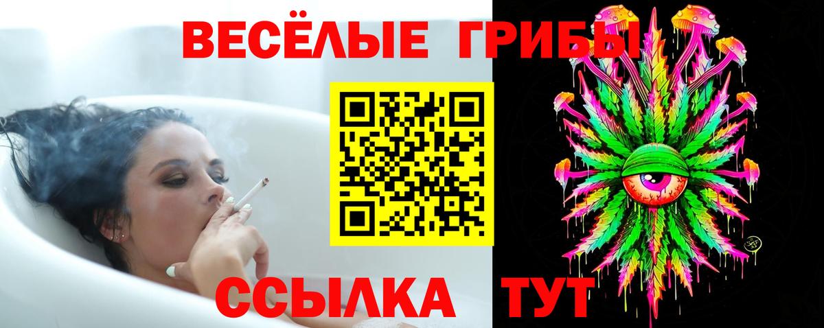 Галлюциногенные грибы мицелий  наркотики  Отрадный  Вход с VPN 